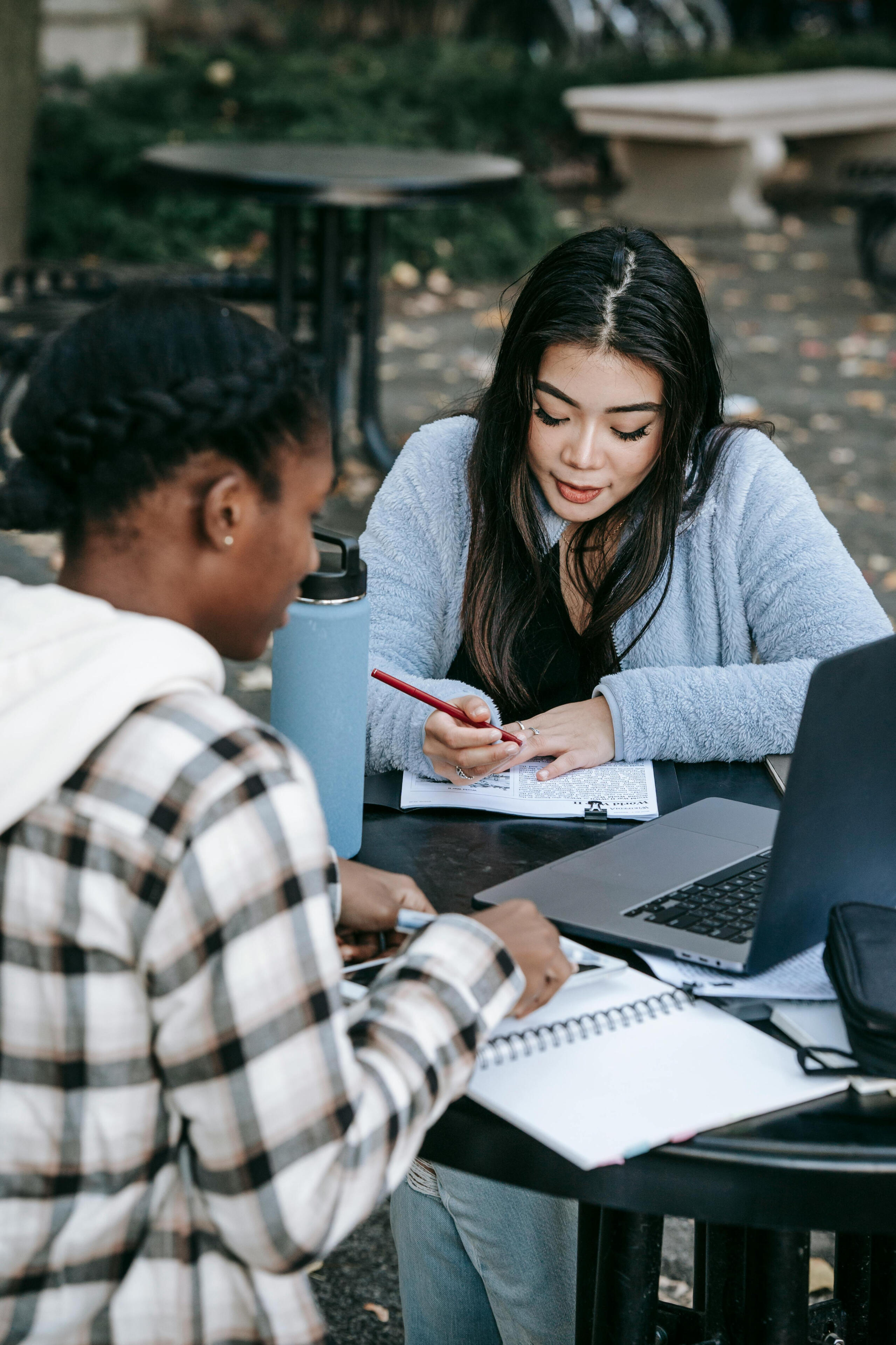 students studying homework